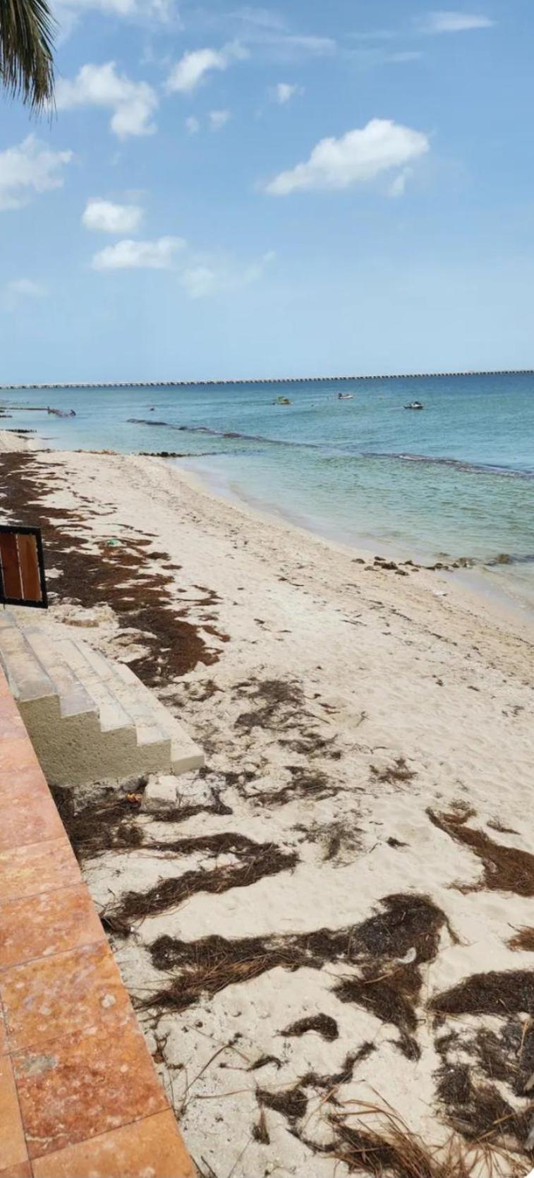 Condominios Orca Progreso  Buitenkant foto